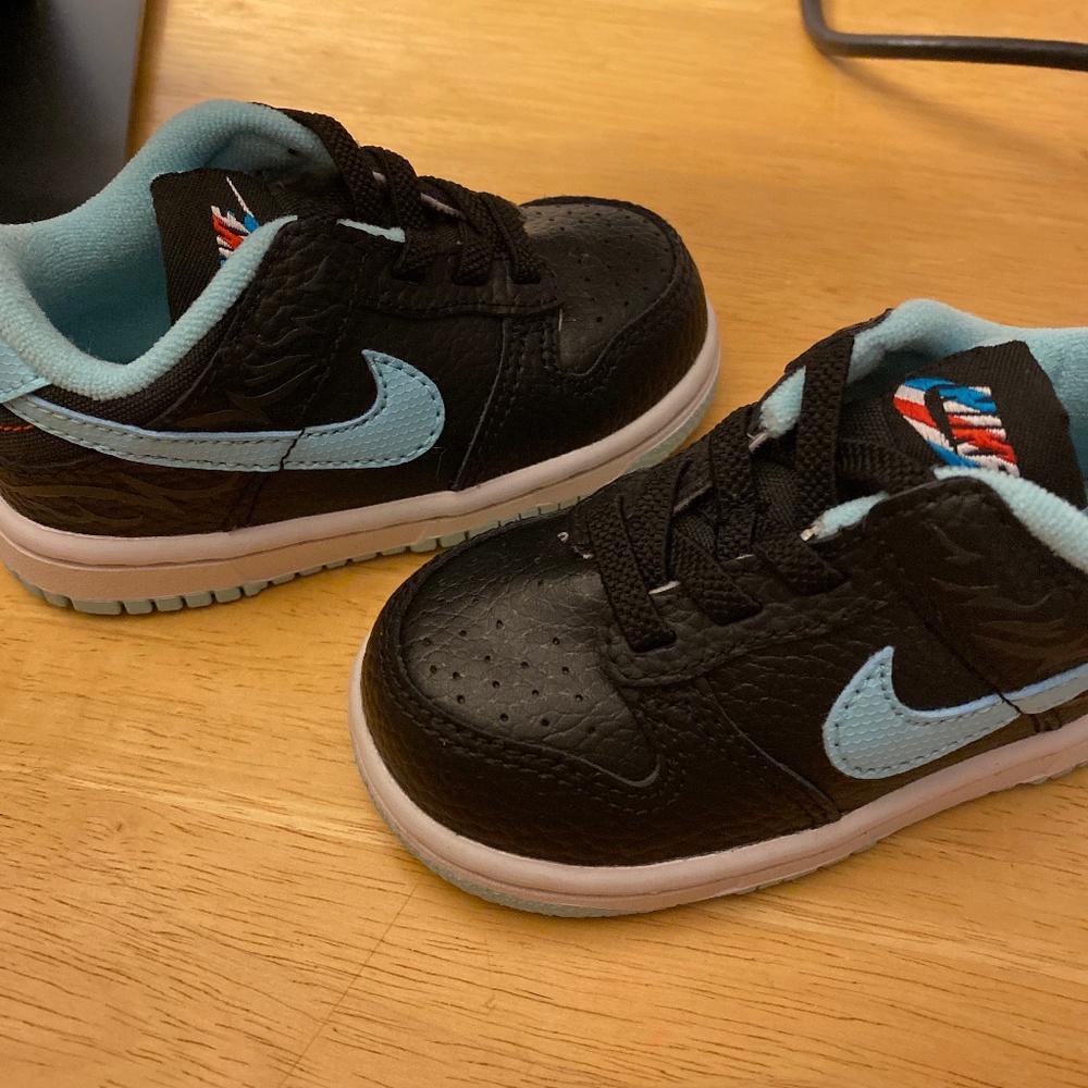 Toddler 6C Nike Dunks